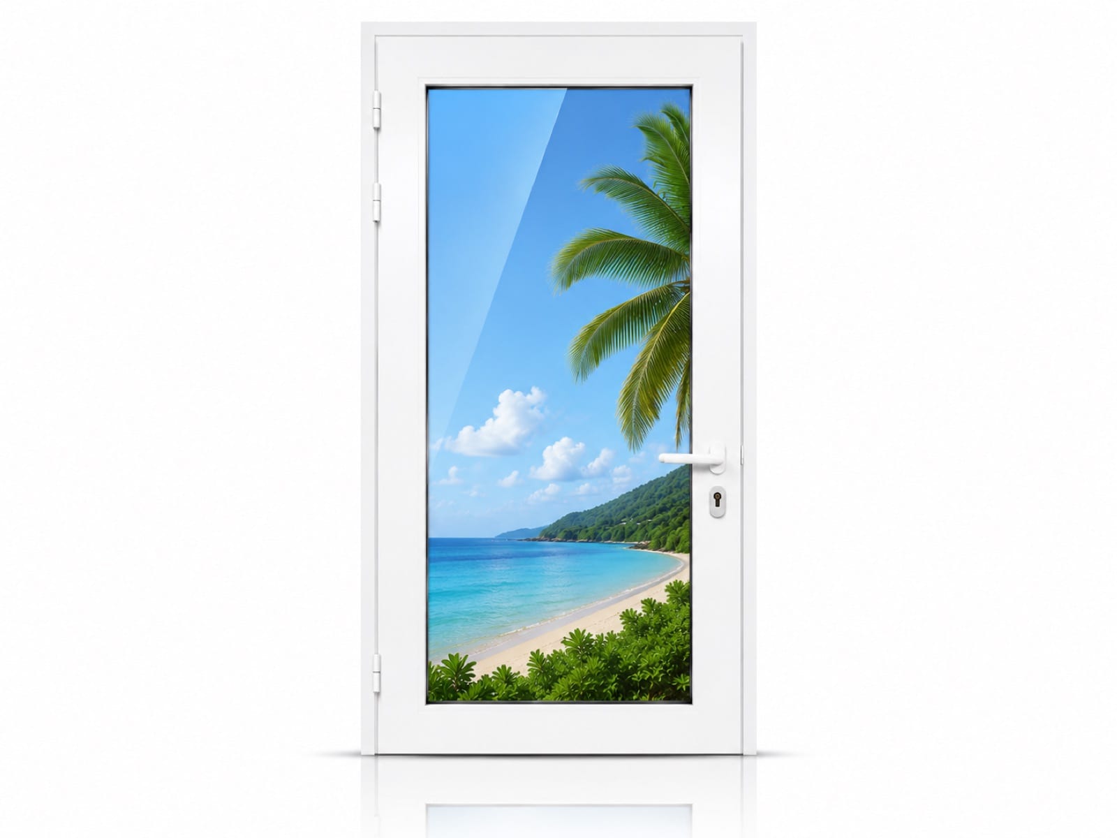Porte 1 battant vitrée en aluminium sur mesure en Martinique