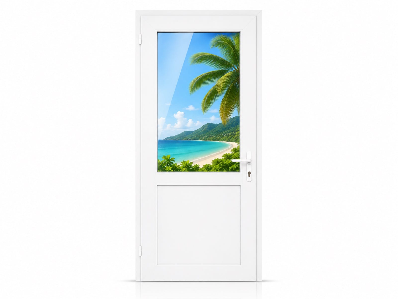 Porte 1 battant bas plein en aluminium sur mesure en Martinique