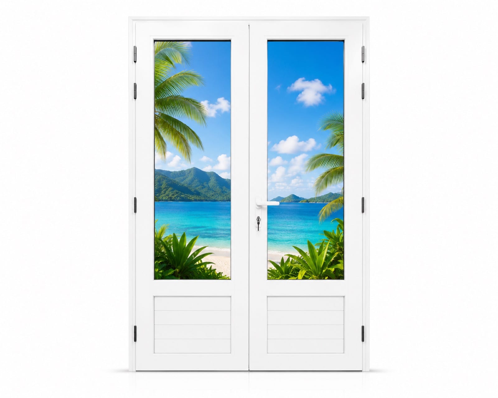 Porte 2 battants bas plein en aluminium sur mesure en Martinique